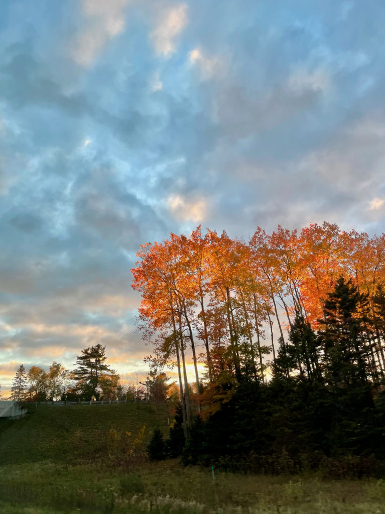 Late fall evening in upper Michigan, 2023