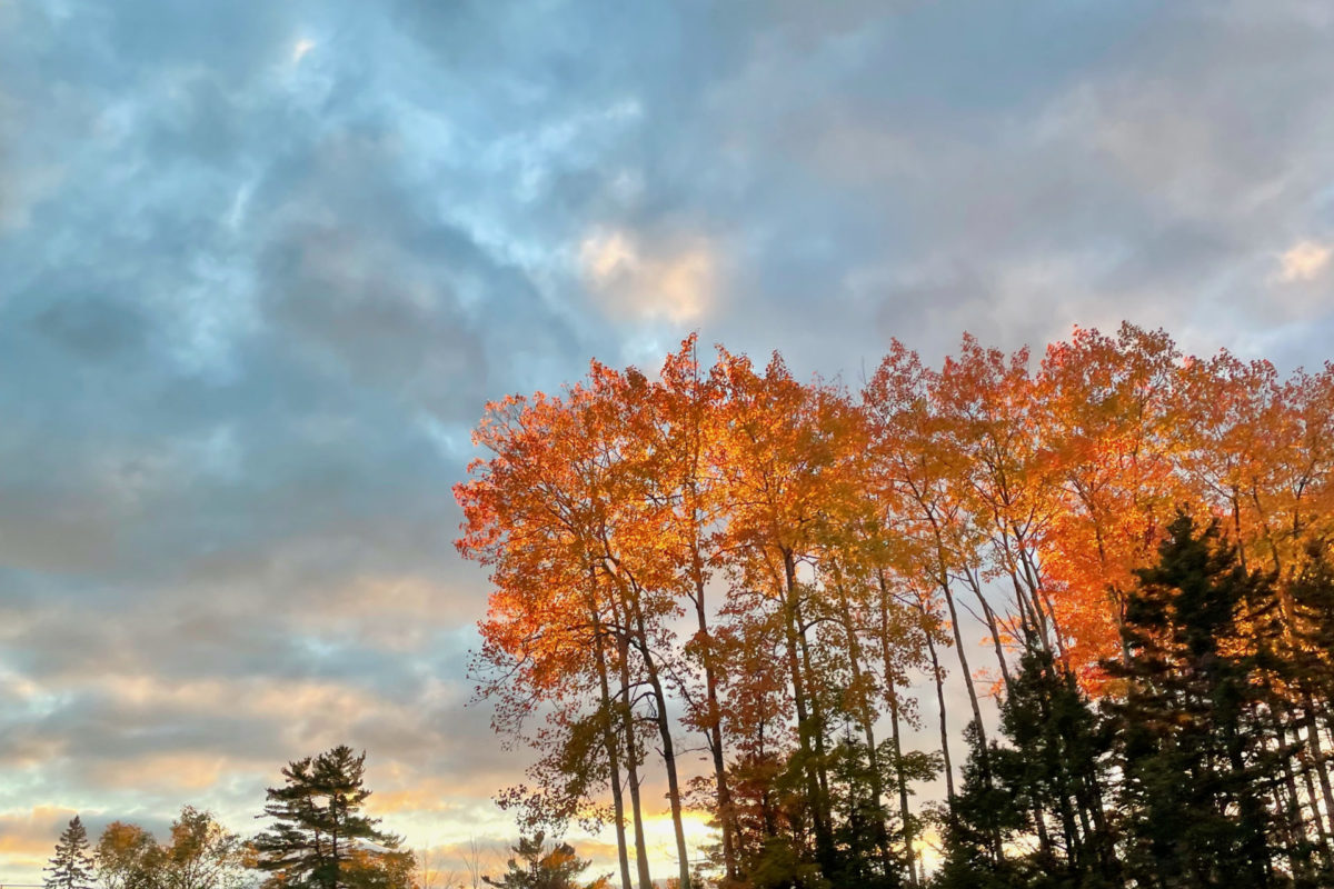 Late fall evening in upper Michigan, 2023